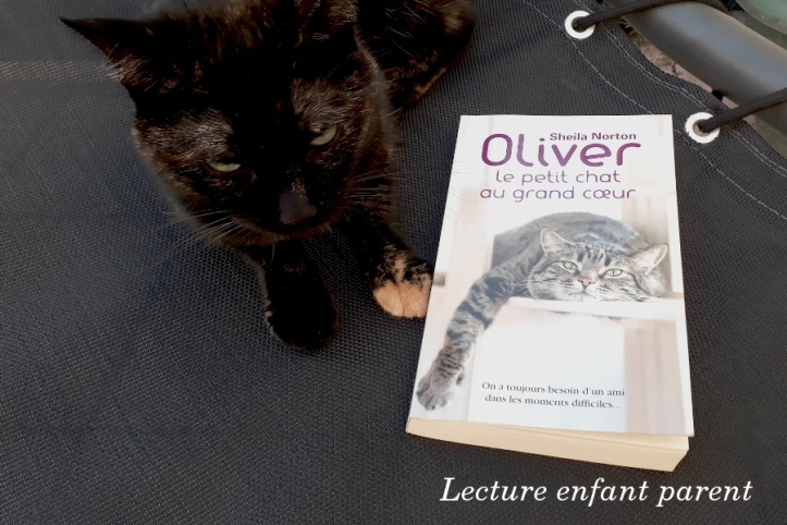 Oliver petit chat au gra,d coeur de Sheila Norton